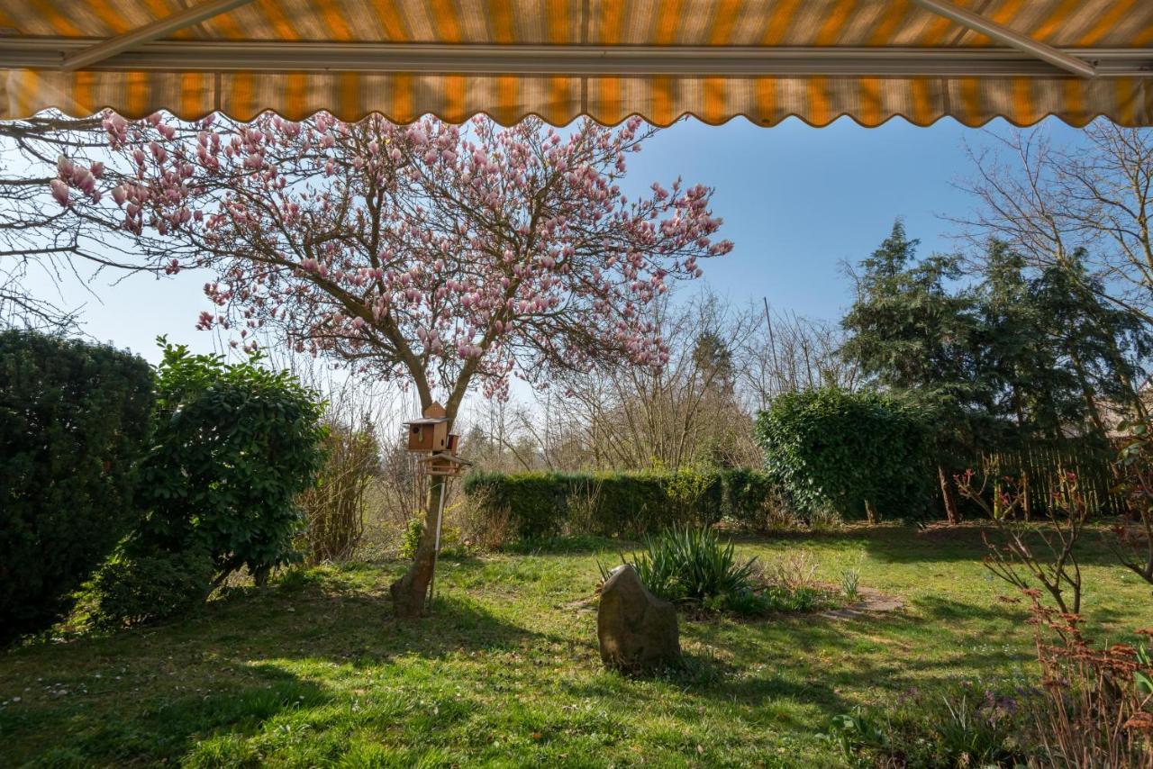 Fewo Oasis Mendig Zewnętrze zdjęcie